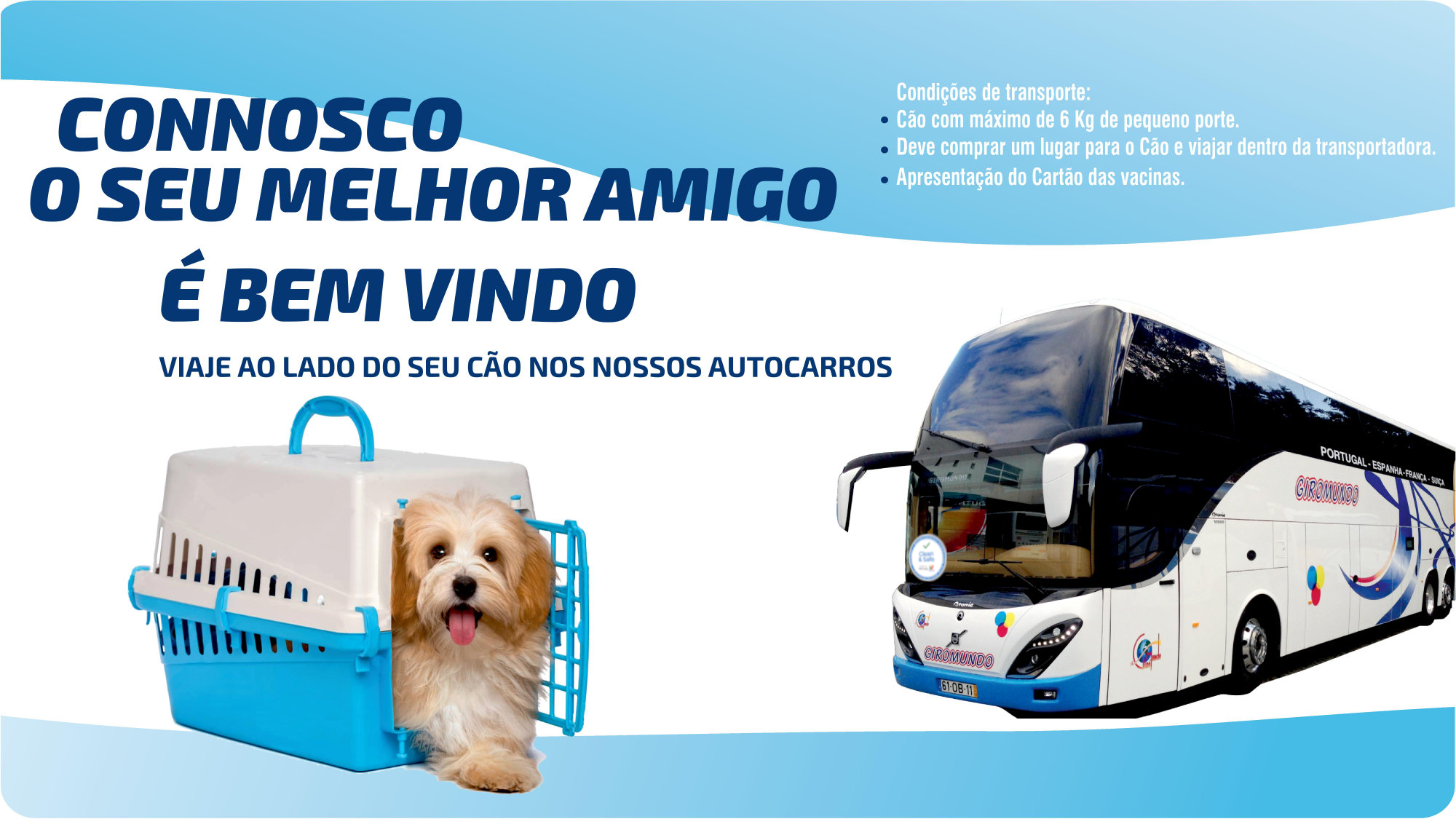 Cão